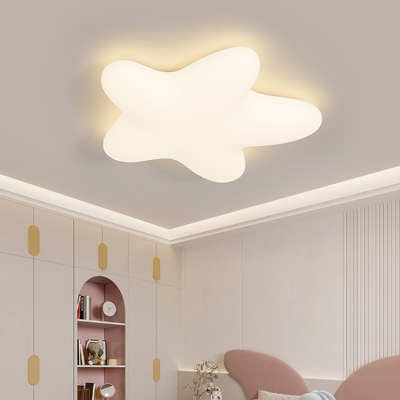 现代简约创意海星吸顶灯ZY953