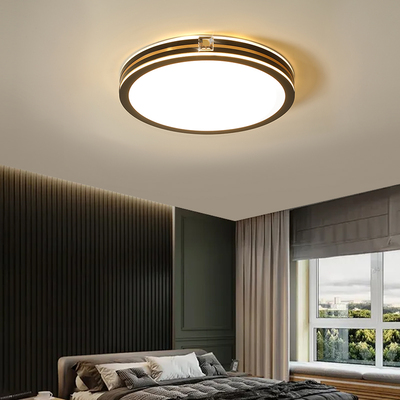 现代轻奢黑色高端简约个性铝材吸顶灯0031